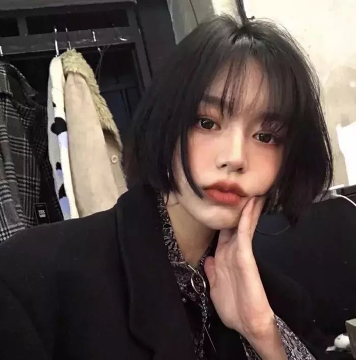 天山的红花