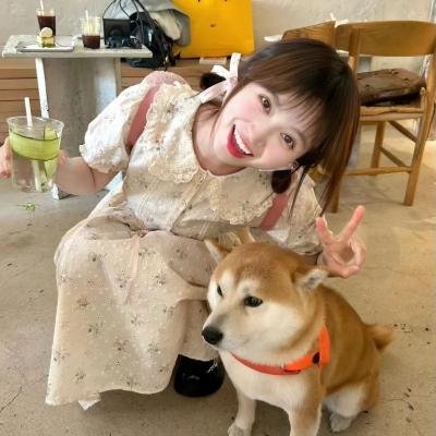 青春残爱物语