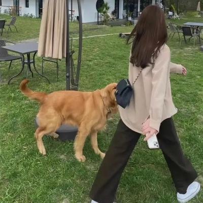 我的同桌又上热搜了